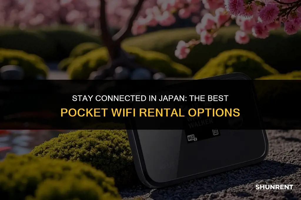 which pocket wifi to rent in japan