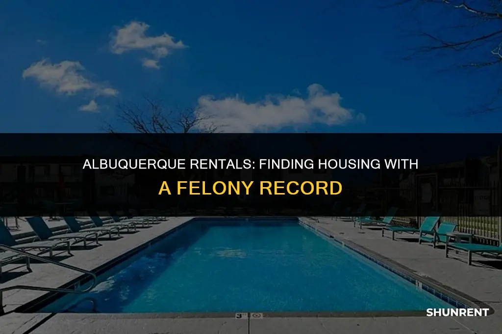 which realtors rent to felons albuquerque nm