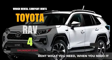 Where to Rent a Toyota RAV4: Top Rental Companies Compared