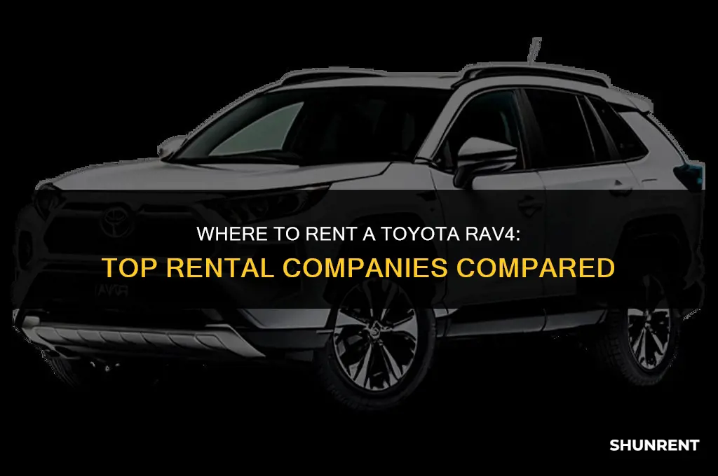 which rental company rents toyota rav 4