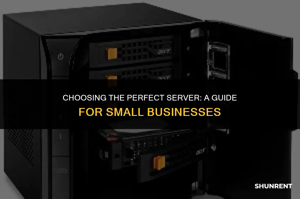 which server to rent for small business