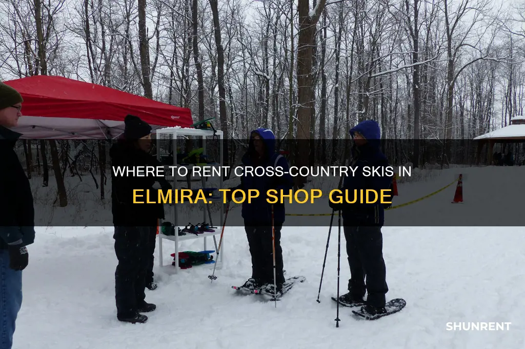 which shop in elmira rent cross country ski
