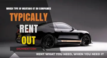 Top Mustang GT Models Companies Prefer for Rental Fleets