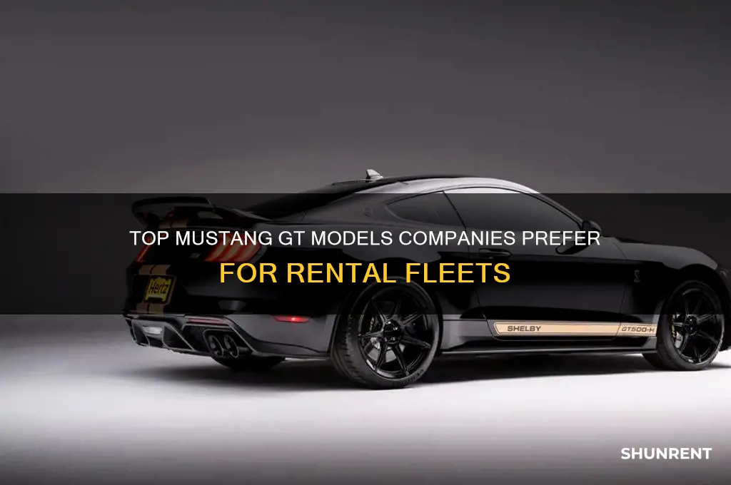 which type of msutang gt do companies typically rent out