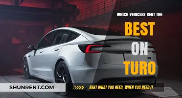 Top Picks: Turo's Most Profitable Vehicle Rentals Revealed