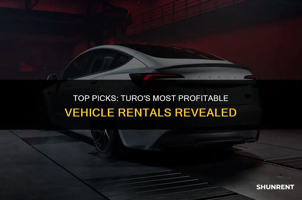 which vehicles rent the best on turo