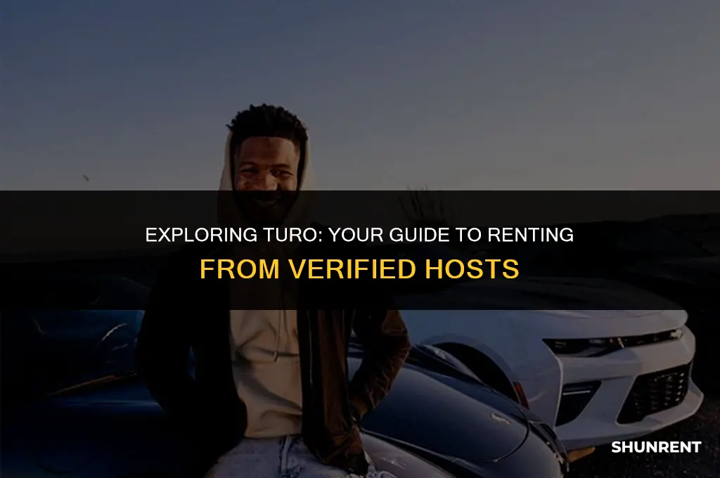 who are you rent from on turo