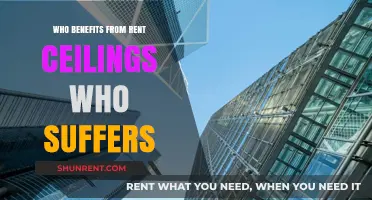 Rent Ceilings: A Double-Edged Sword in Housing Policy