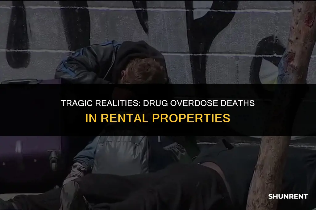 who dies of drug overdose in rent