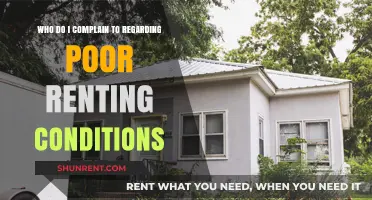 Poor Renting Conditions? Here’s Who to Complain to for Help