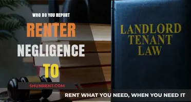 Navigating Tenant Negligence: A Landlord's Guide to Reporting Responsibly