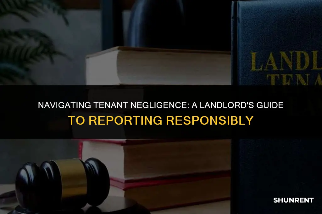 who do you report renter negligence to