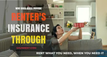 Who Provides GEICO's Renter's Insurance Policies and Coverage?