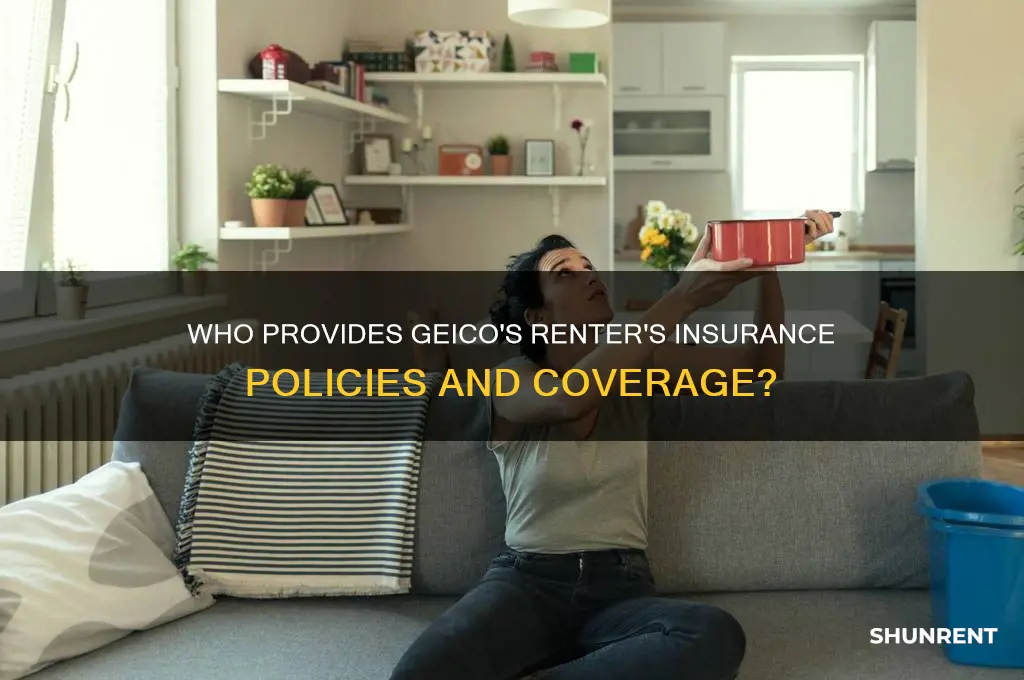 who does geico provide renter
