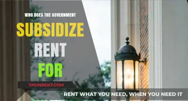 Understanding Government Rent Subsidies: Who Benefits and How
