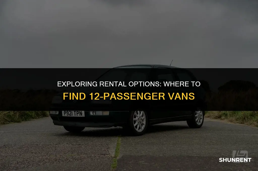 who has 12 passenger vans for rent