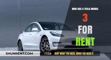 Rent a Tesla Model 3: Where to Find One Near You