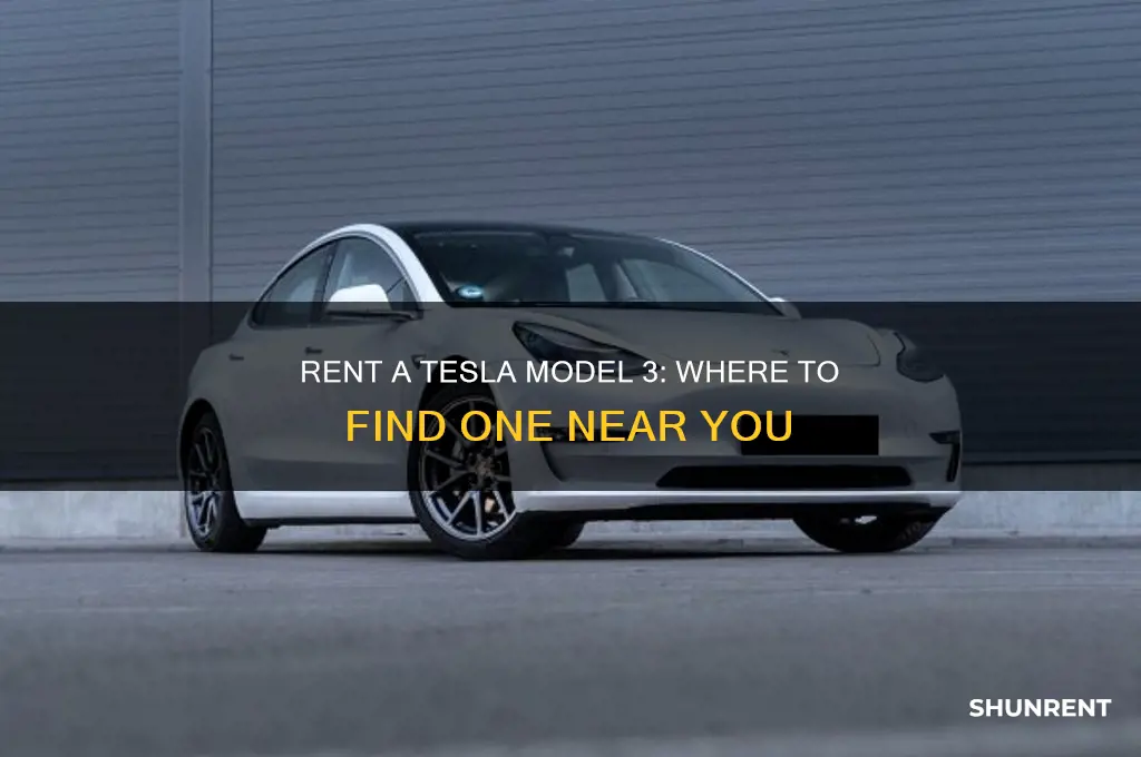 who has a tesla model 3 for rent