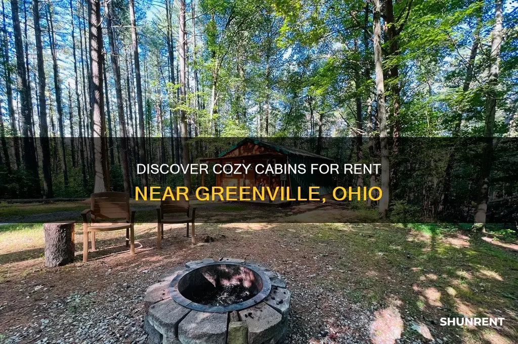 who has cabins for rent close to greenville ohio