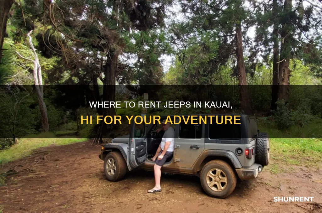who has jeeps avaialble to rent in kauai hi