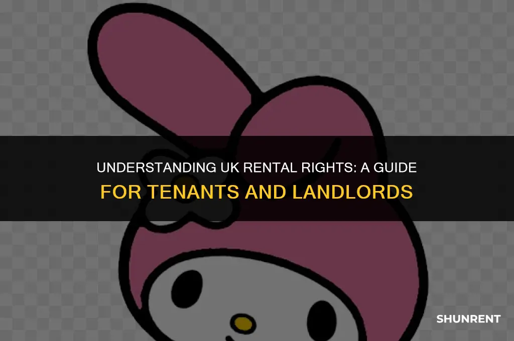 who has right to rent in uk