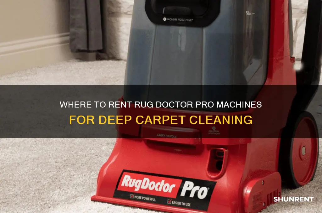 who has rug doctor pro machines to rent