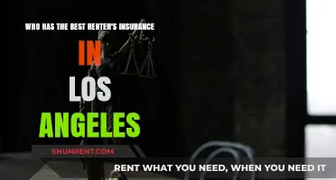 Top Renter's Insurance Providers in Los Angeles: A Comprehensive Guide