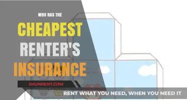 Discover the Most Affordable Renter's Insurance Options Today!