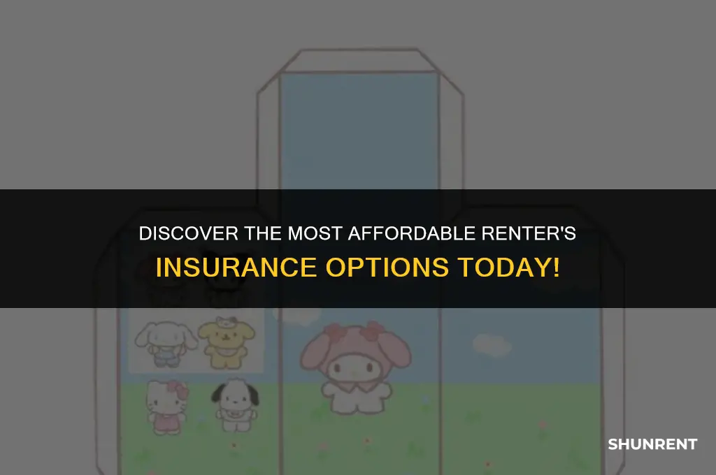 who has the cheapest renter