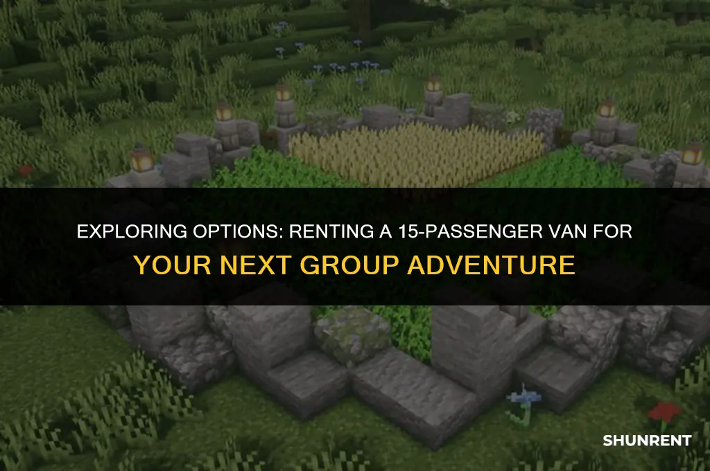 who have 15 passages van to rent
