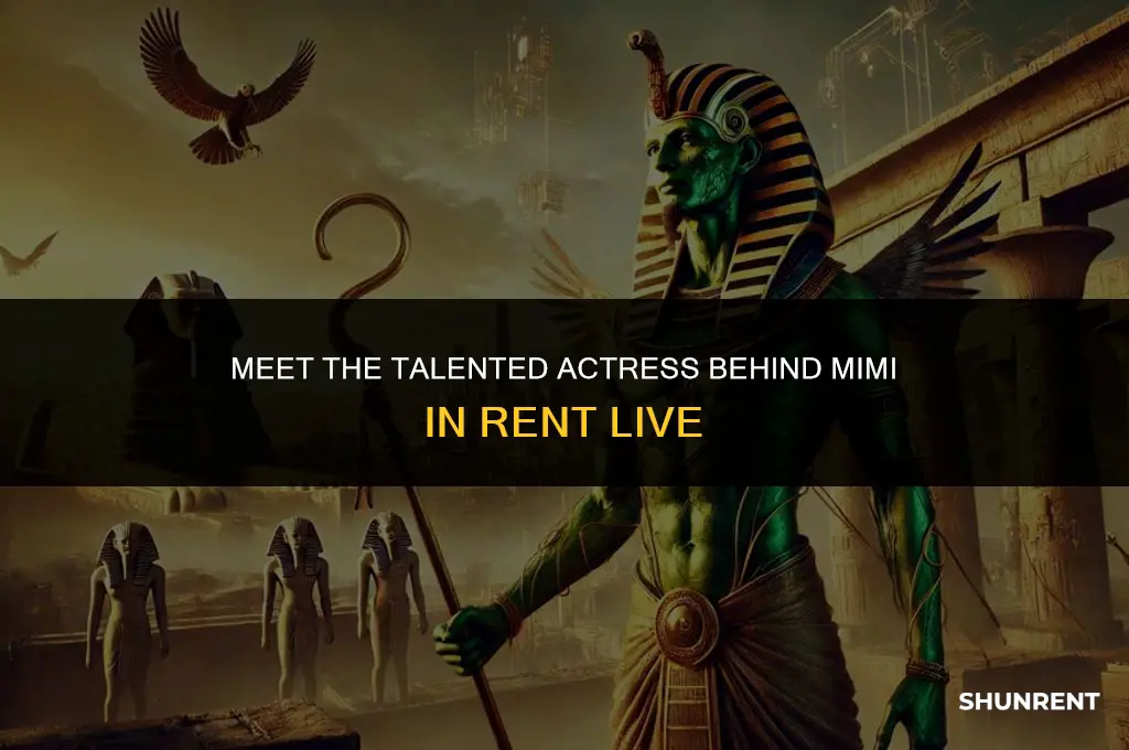 who is playing mimi in rent live