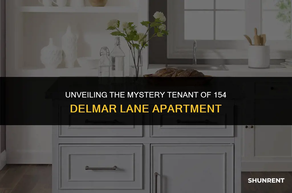 who is renting 154 delmar lane apti