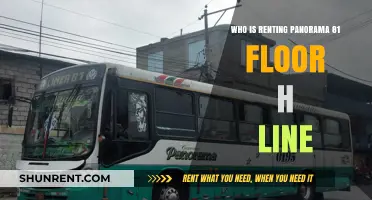Panorama 81 H Line: Unveiling the Mystery Tenant