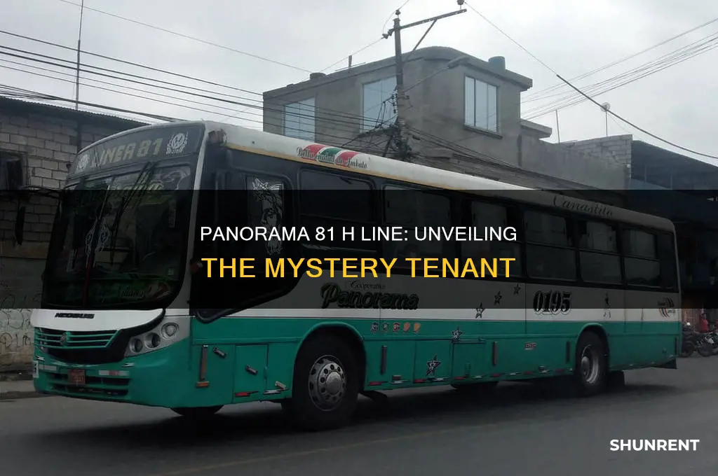 who is renting panorama 81 floor h line