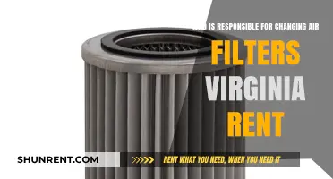 Who Handles Air Filter Replacement in Virginia Rental Properties?