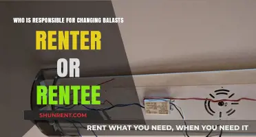 Who Bears the Cost: Renter or Rentee for Changing Ballasts?