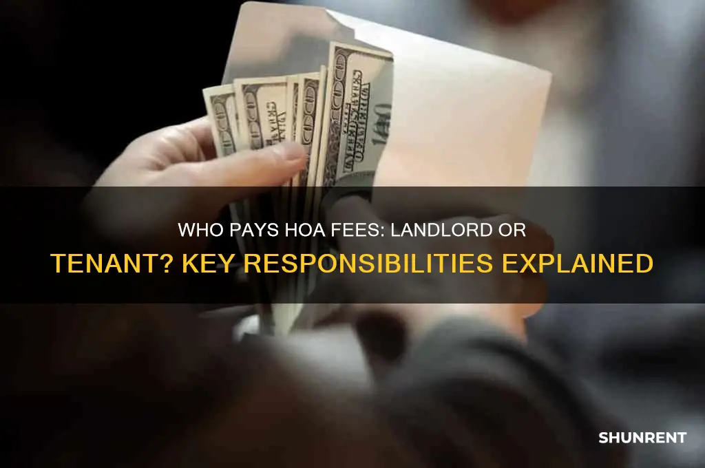 who is responsible for hoa fees when renting