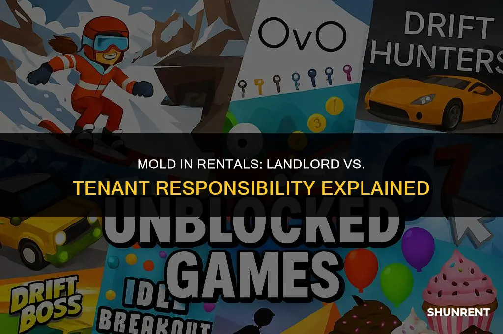 who is responsible for mold when renting