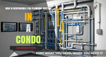 Condo Plumbing Responsibilities: Who Handles Repairs and Maintenance?
