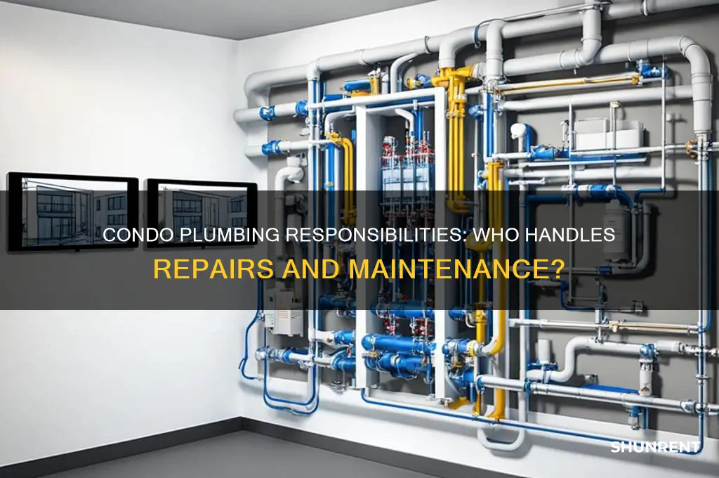 who is responsible for plumbing renting in a condo