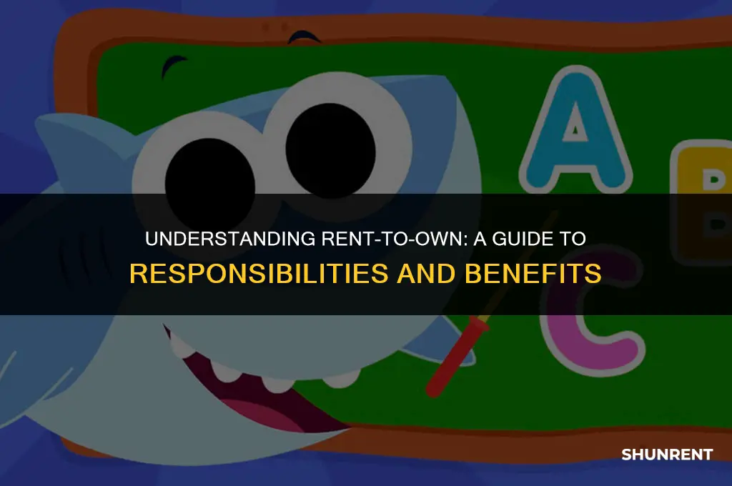 who is responsible in rent to own