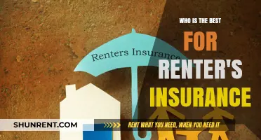 Top Renter's Insurance Providers: Who Offers the Best Coverage?