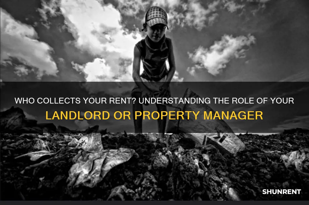 who is the person that collects your rent