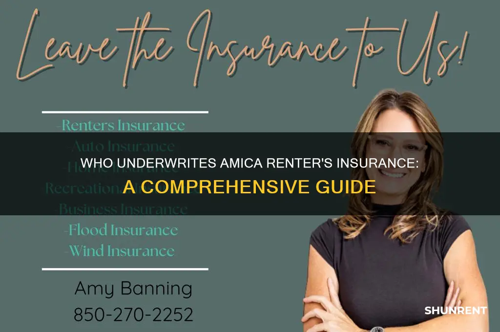 who is the underwriter for amica renter