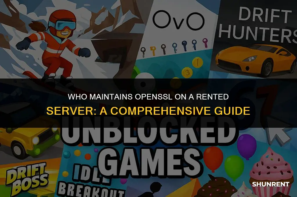 who maintains openssl on a rented server