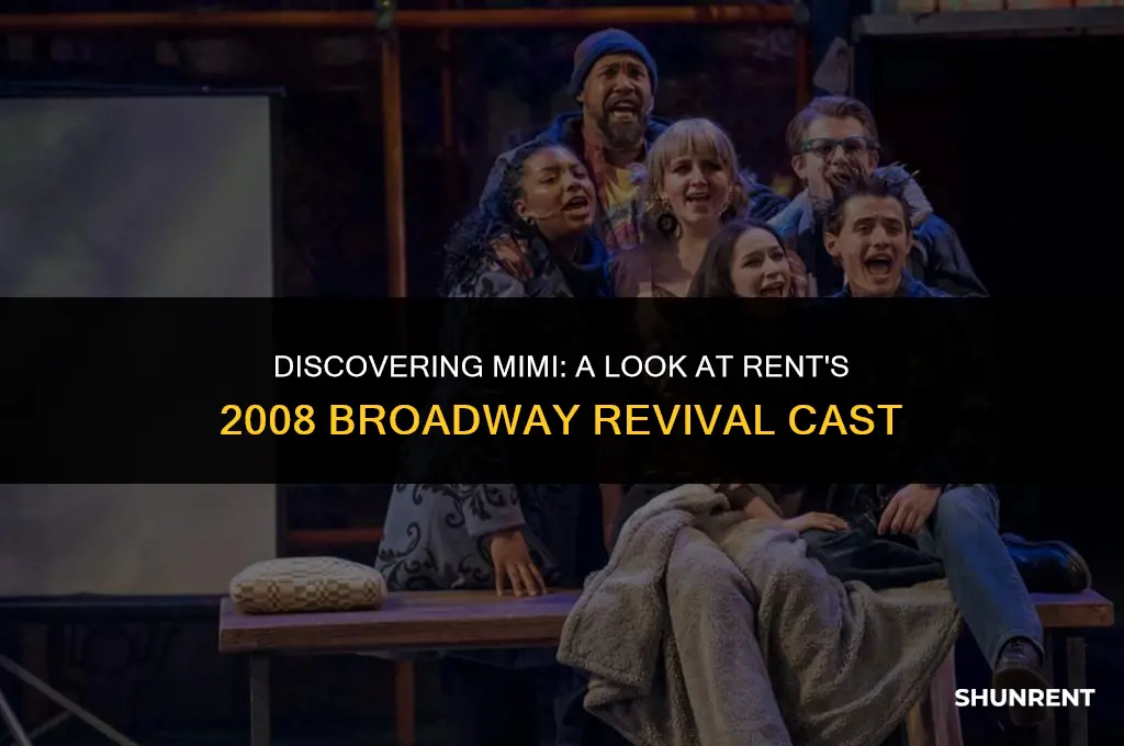 who played mimi in rent 2008 broadway