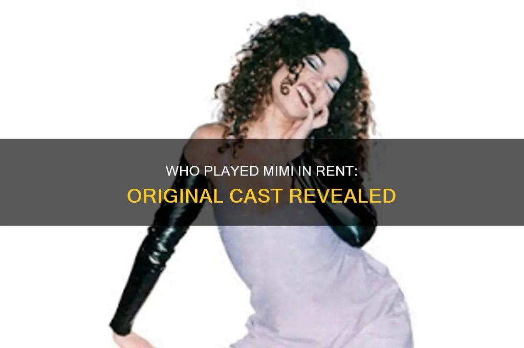 who played mimi in rent in the original cast