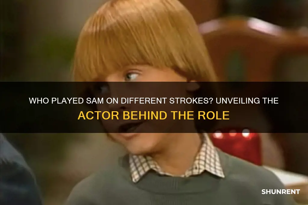 who played sam on different strokes
