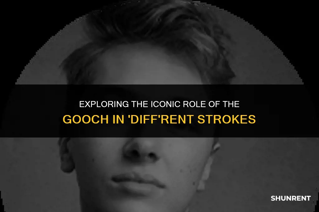who played the gooch diff rent strokes