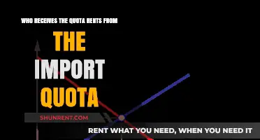 Unveiling the Beneficiaries of Import Quota Rents: A Comprehensive Analysis